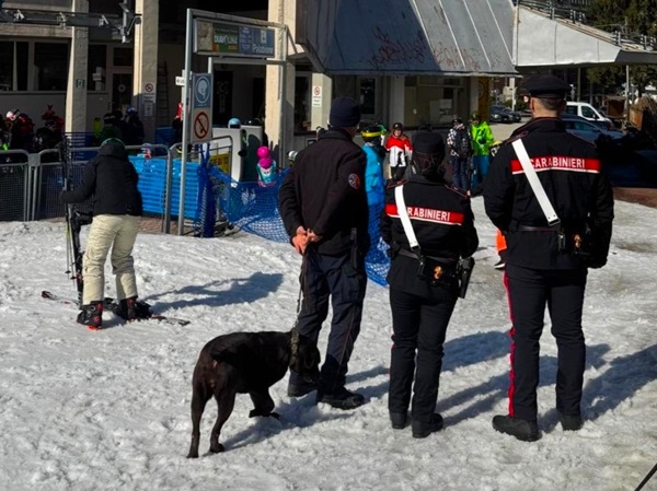 Gina, il Labrador Antidroga, in Azione a Aprica