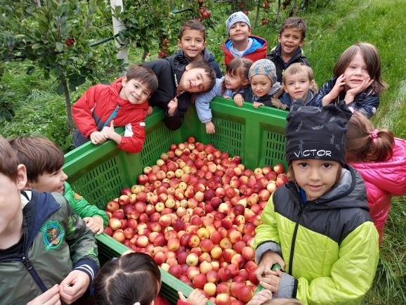 /castagne e mele alla Scuola dell'infanzia di Sernio
