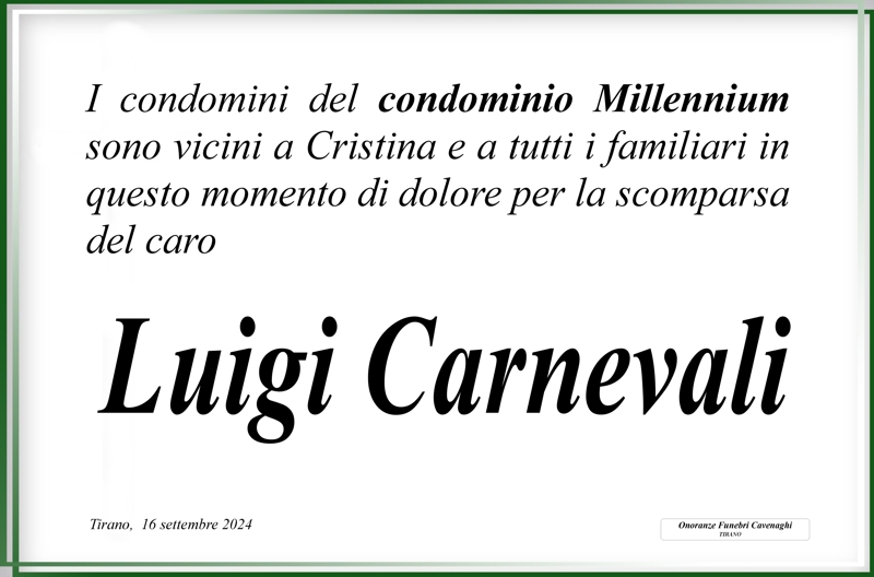 Condominio Millennium per Carnevali Luigi