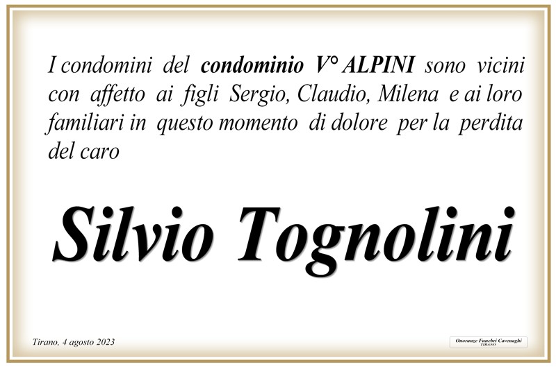 Condominio V Alpini per Tognolini Silvio