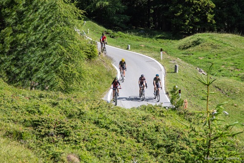 Enjoy Stelvio Valtellina