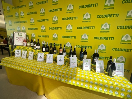 Nebbiolo della Valtellina tra i vini più venduti in Italia