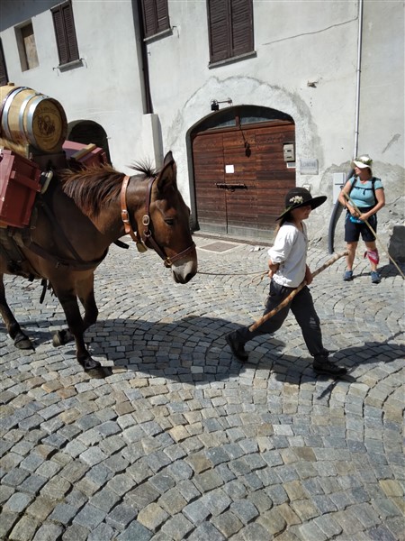 La Carovana Di Somieri E Cavalli Arrivata A Tirano Intorno Tirano