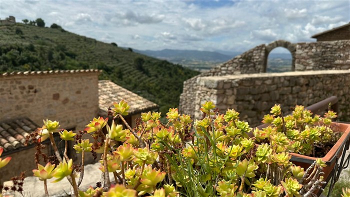 /CAI VALFURVA TREKKING - LA VIA DI FRANCESCO - NELLA VERDEGGIANTE UMBRIA 12-16 GIUGNO 2024