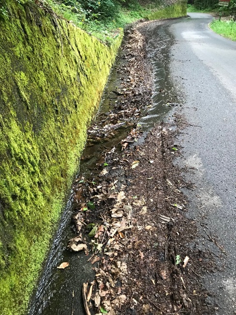 /Canalette otturate delle strade di montagna