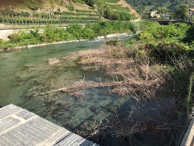 Disquisizioni tecniche sul torrente Poschiavino