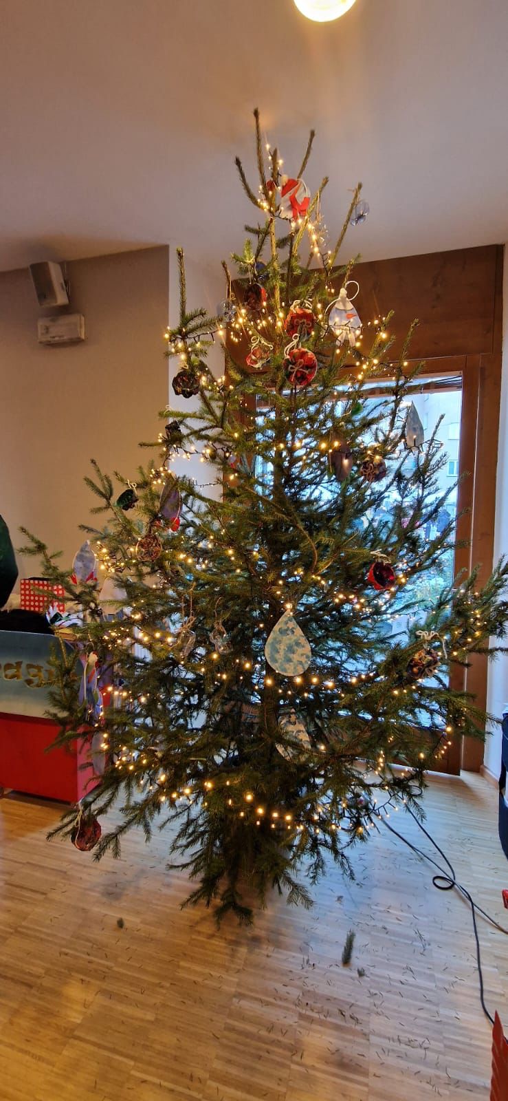 /albero eco school della primaria di Tovo