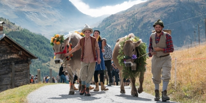 La tradizione della transumanza rivive nell’Alpenfest di Livigno