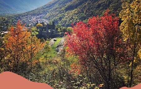 Scopri l'autunno al Parco delle Incisioni Rupestri di Grosio con un workshop fotografico