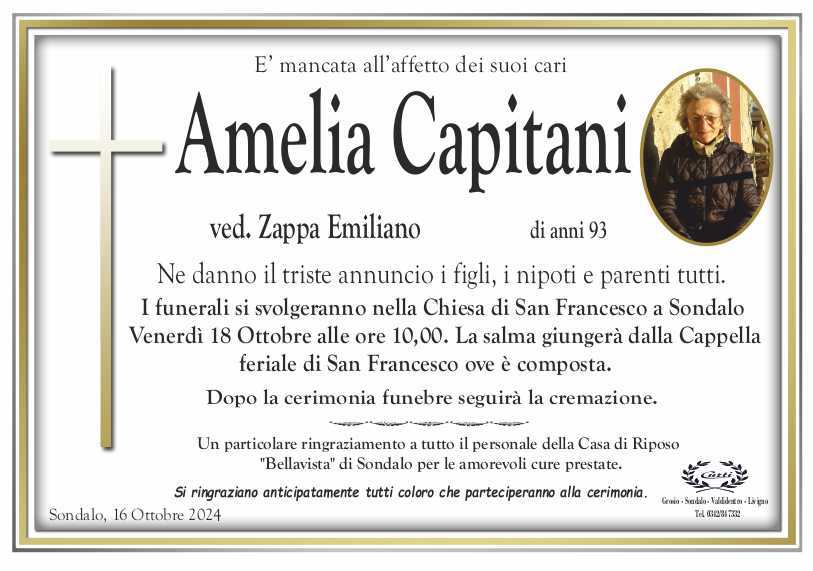 capitani amelia