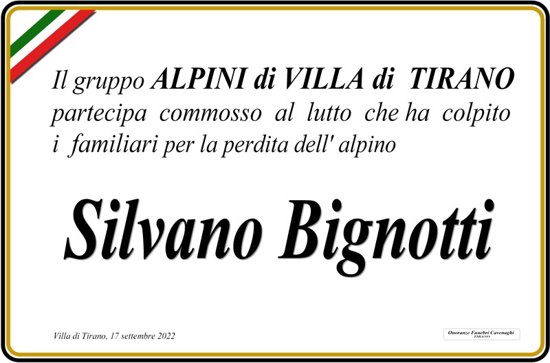 /Alpini Villa per Silvano Bignotti