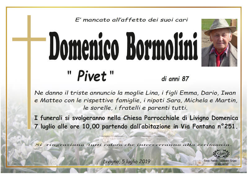 necrologio Bormolini Domenico