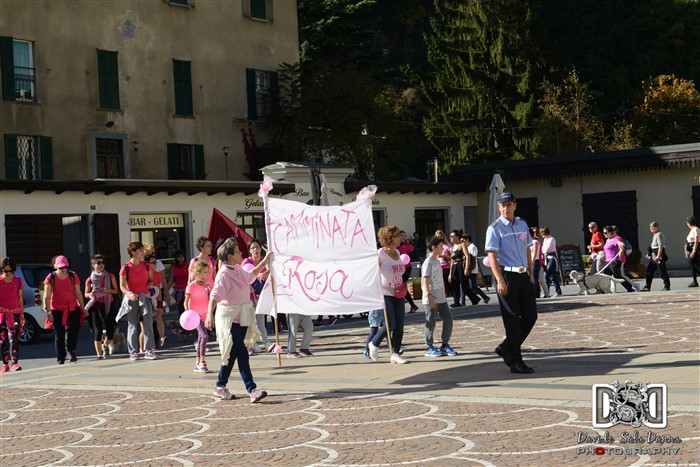 /Camminata in rosa Tirano 2017 (17)