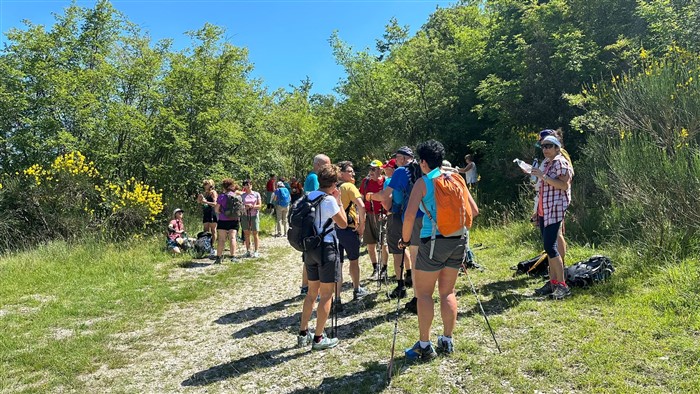 /CAI VALFURVA TREKKING - LA VIA DI FRANCESCO - NELLA VERDEGGIANTE UMBRIA 12-16 GIUGNO 2024