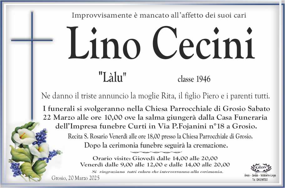 cecini lino