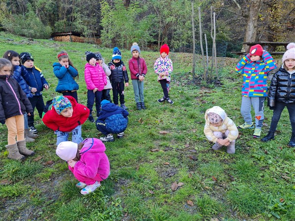 /ecoschool infanzia mazzo (1)