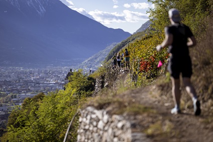 Valtellina Wine Trail