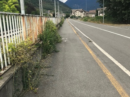 /Tirano, erbacce in Via Capitello