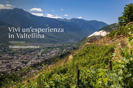 nuovo sito Strada del Vino Valtellina