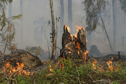 /incendio teglio