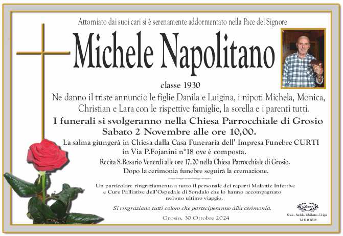 /napolitano michele