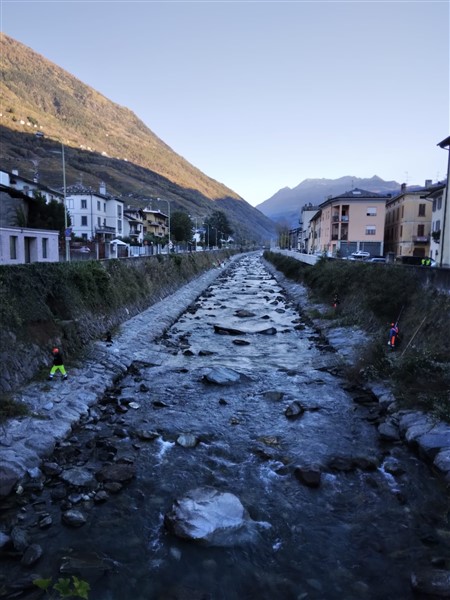 /potatura argine adda tirano (3)