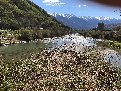 /Confluenza fiume Adda con  torrente Poschiavino
