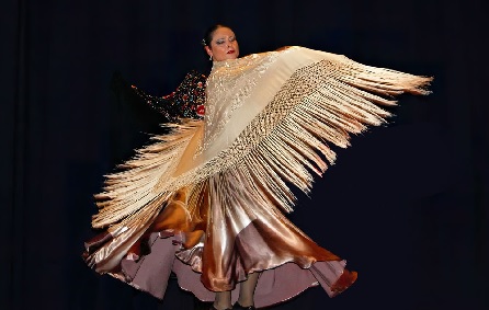 /Passione flamenca a Grosio