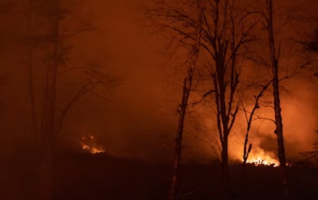 /incendio bosco