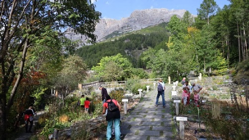 Il Giardino Botanico Alpino "Rezia": Eventi Speciali