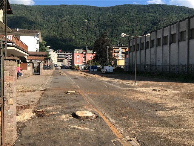 /tagliate le piante di ippocastano in Via Capuccini