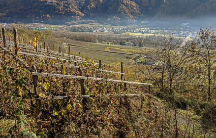 /terrazzamenti tirano