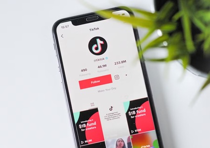 Scaricare video da TikTok e Twitter facilmente