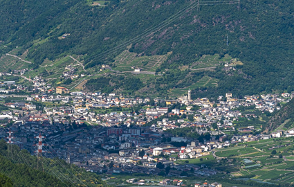 /tirano panoramica