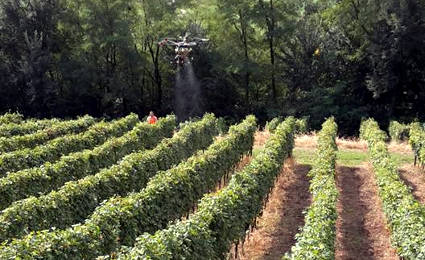 /utilizzo drone in agricoltura valtellina