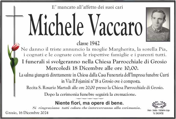 /vaccaro michele