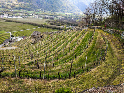 /agricoltura montagna