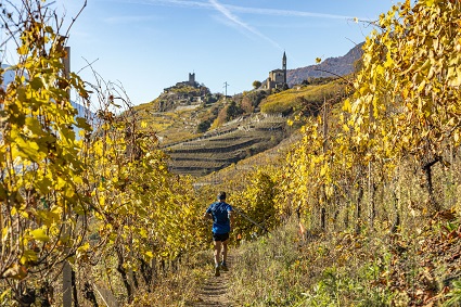 valtellina Wine Trail
