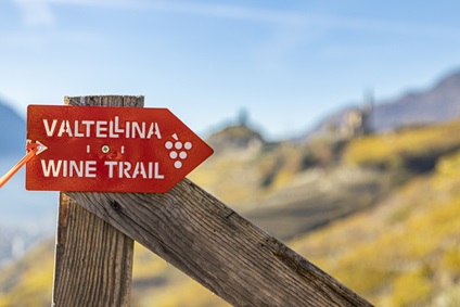 /Valtellina Wine Trail